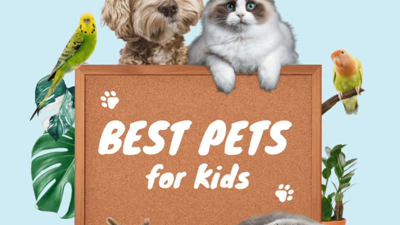 Best Pets for Kids by Age