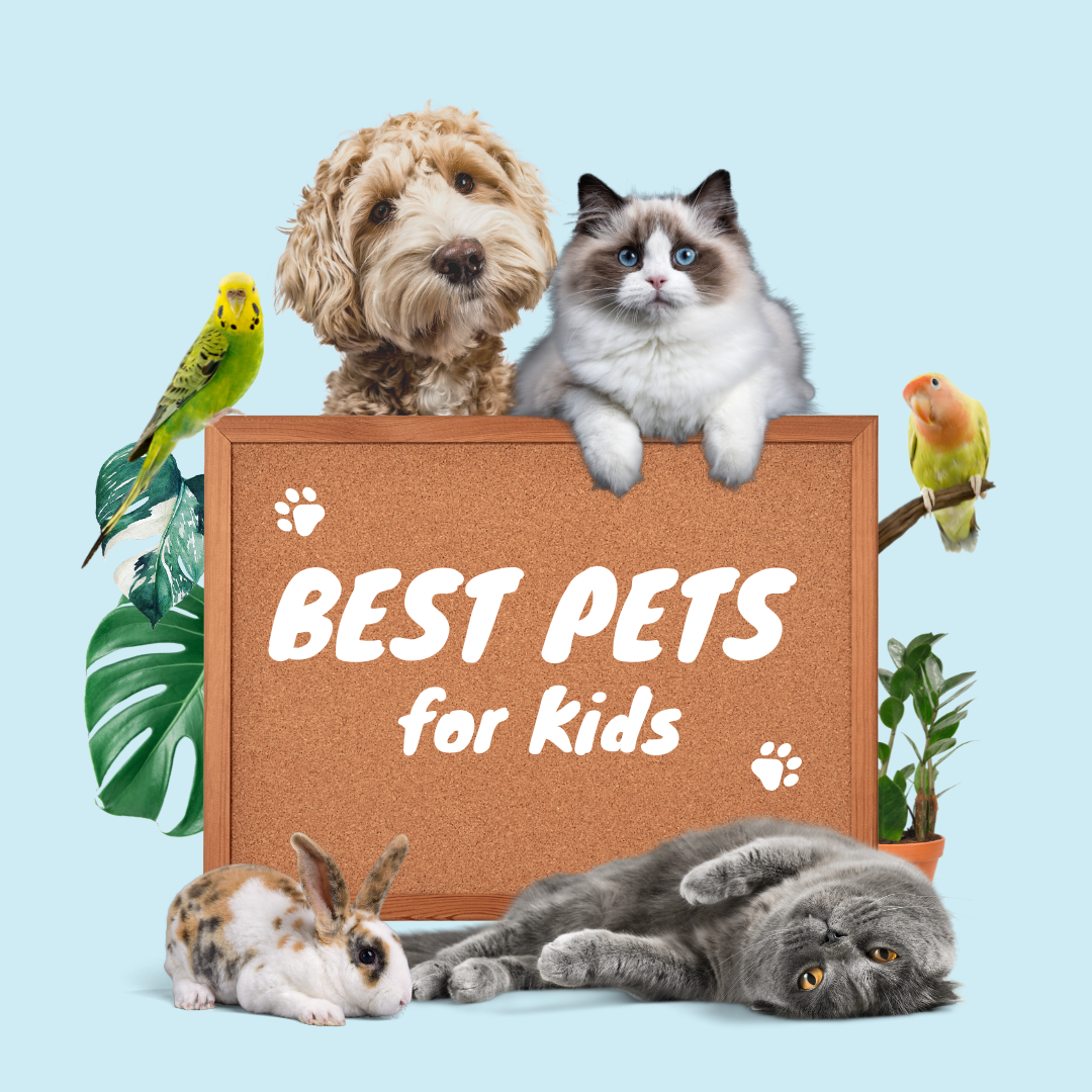 You are currently viewing Best Pets for Kids by Age